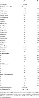 Periventricular white matter hyperintensities are associated with gait and balance in patients with minor stroke